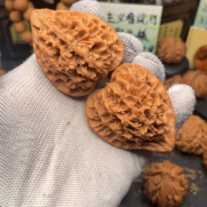 首***号核桃秦岭山地核桃