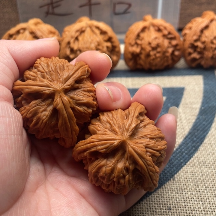 D***n核桃白狮子40核桃