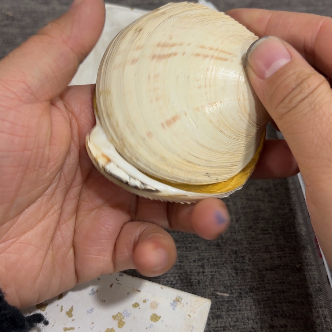 非常好看的物品 The 