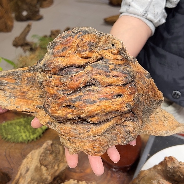 松木（琥珀木）平**安琥珀