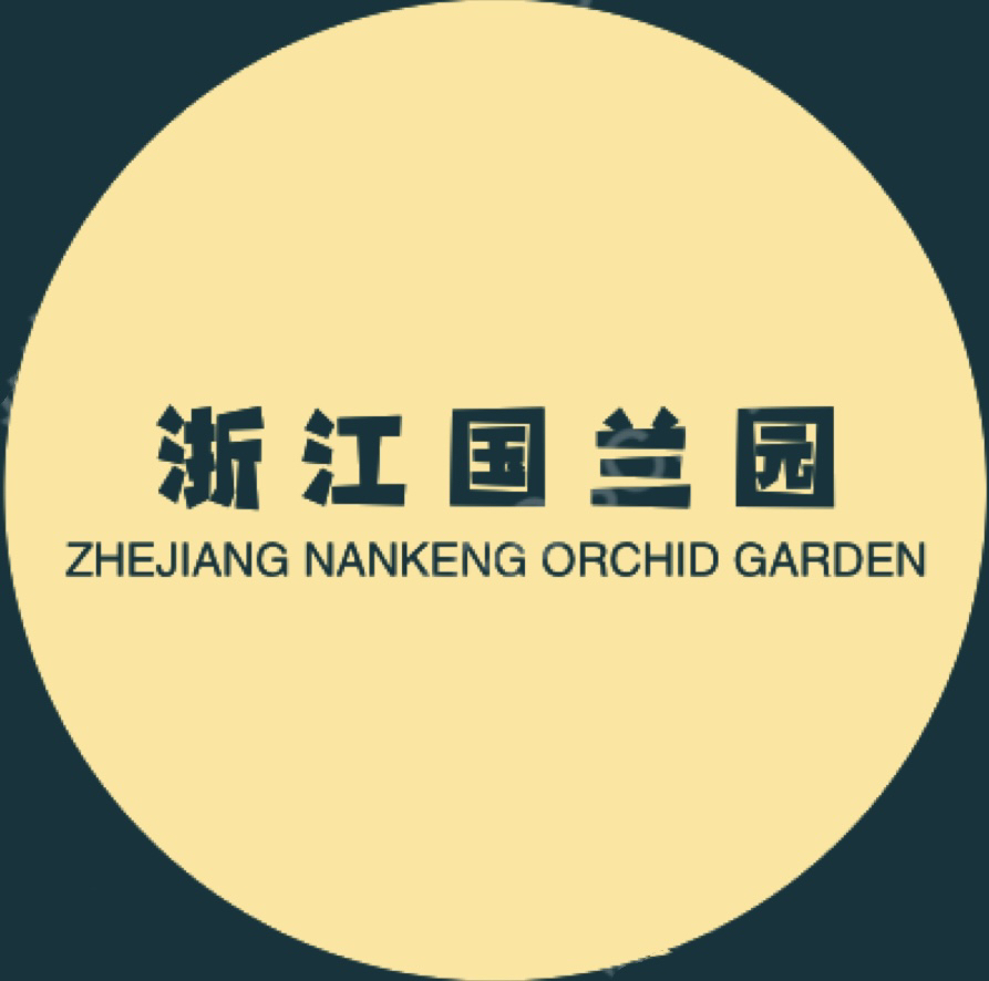 直播间（一物一拍）兰花苗