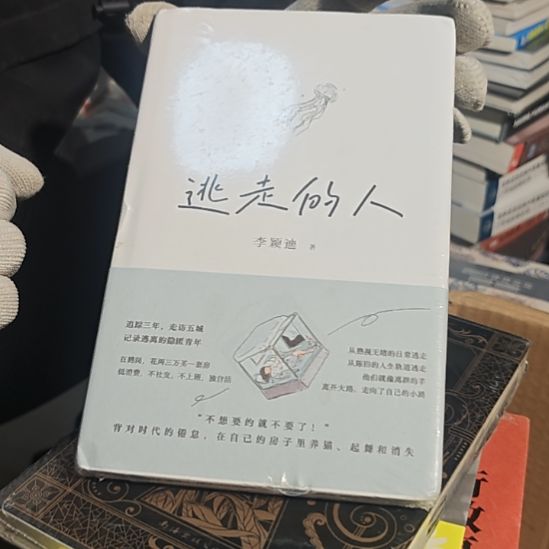 逃走的人精装塑封