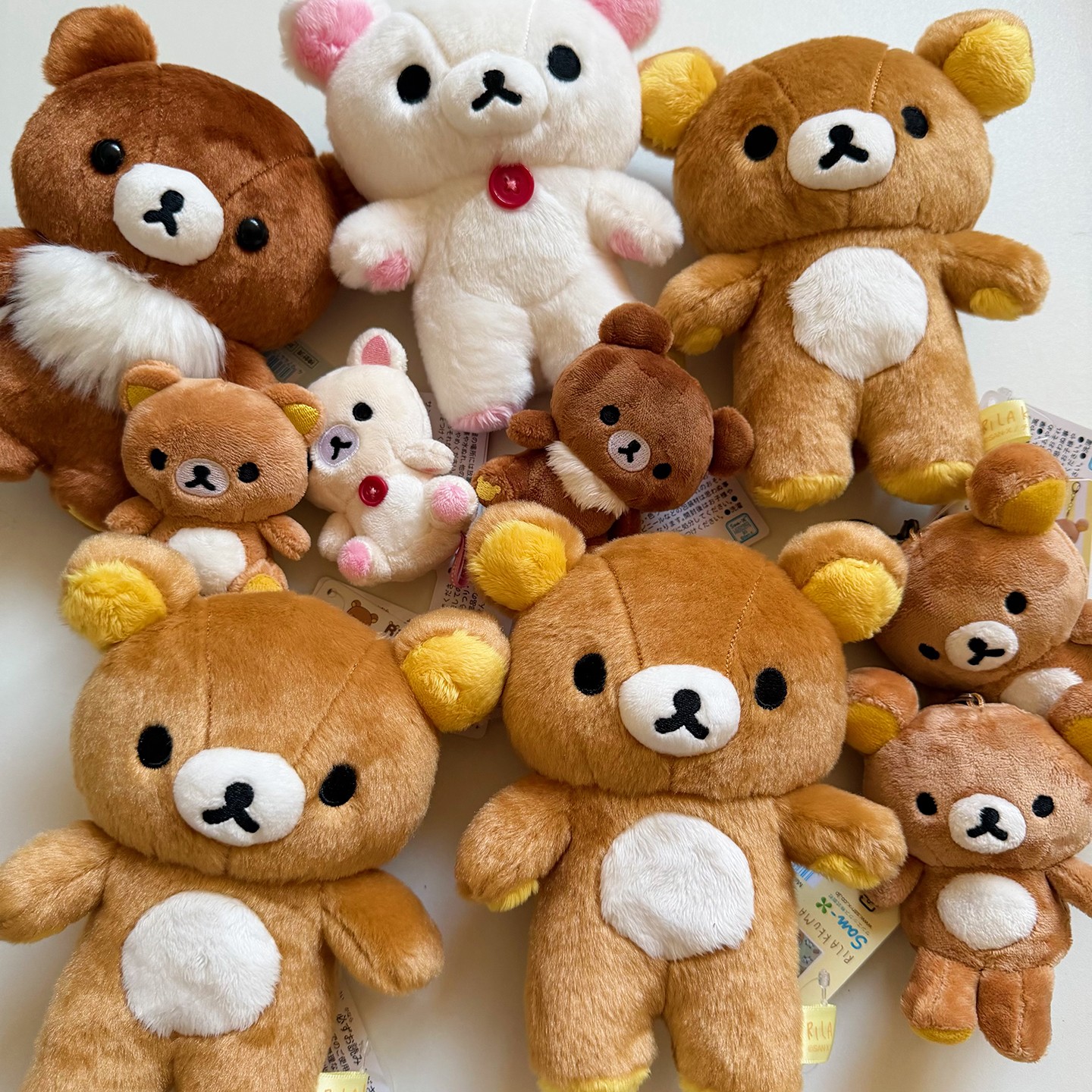 日本sanX  轻松熊rilakkuma熊哥熊妹毛绒基础款S玩偶公仔正品礼物