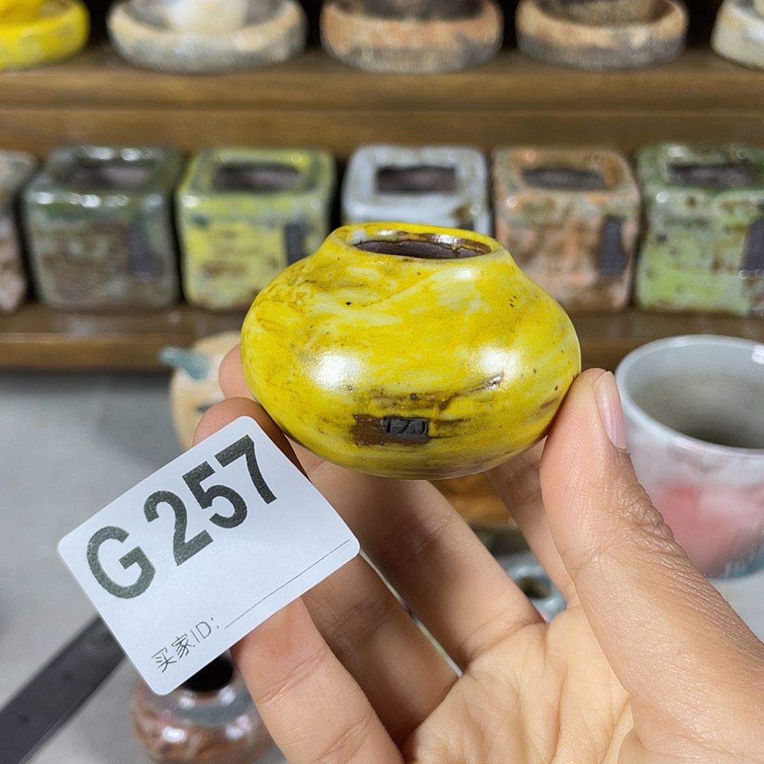 坛子姐多肉花盆拇指盆 内口2.2左右