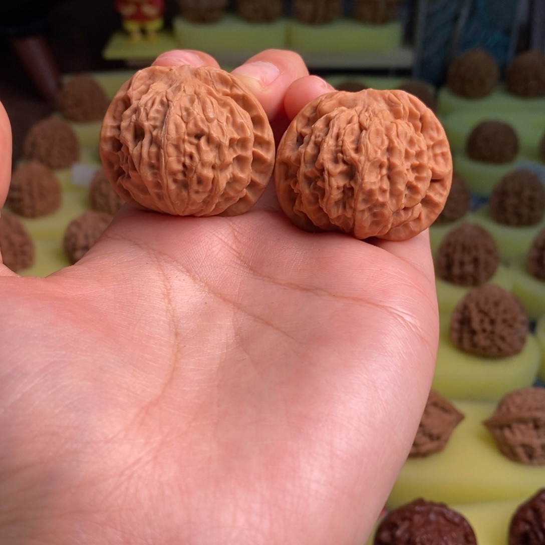 核桃秦岭金公子37尺寸