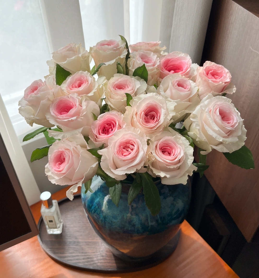 【九里花田】单头玫瑰洛神-基地直发-一单包邮三单升级空运