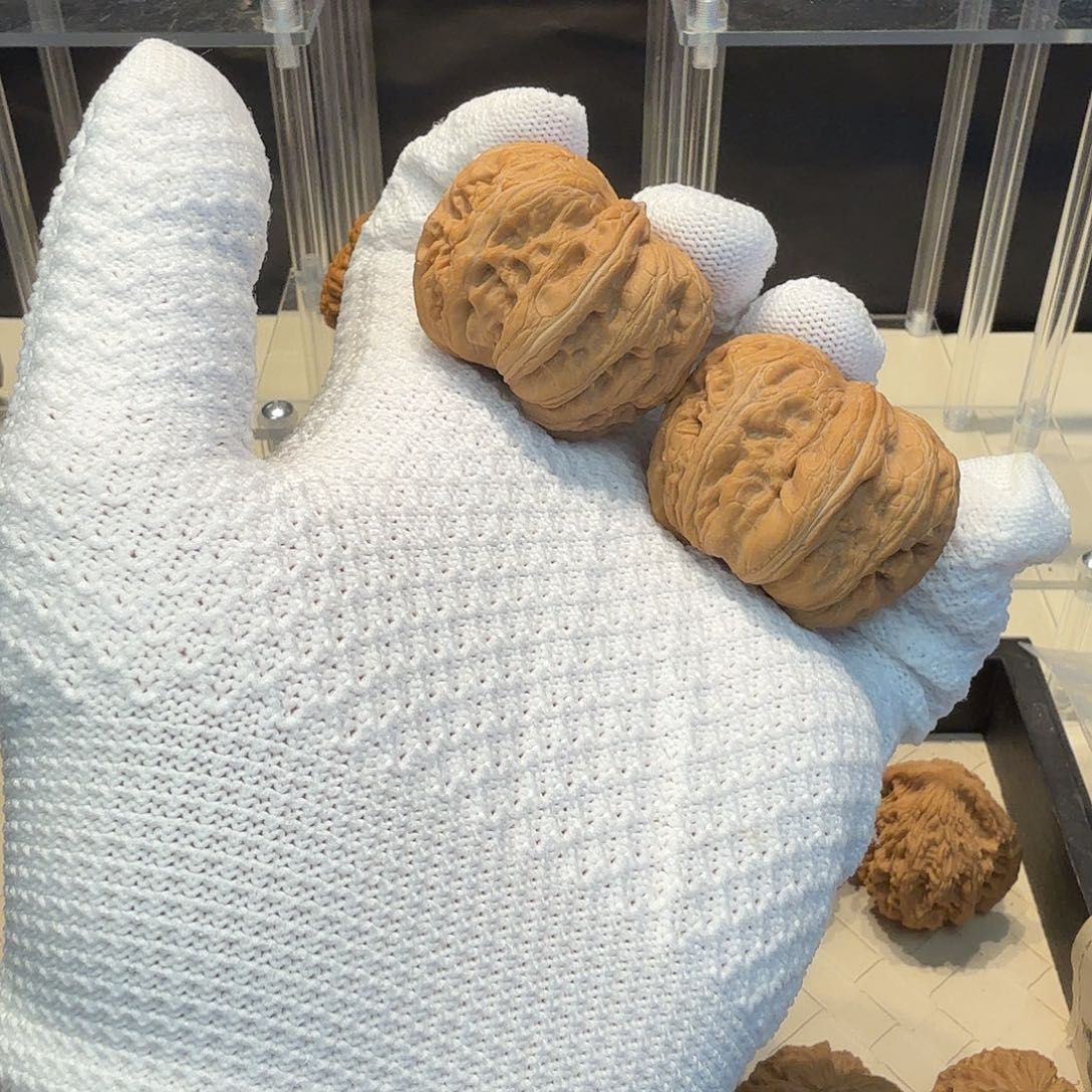 文玩核桃把件全品平谷元宝