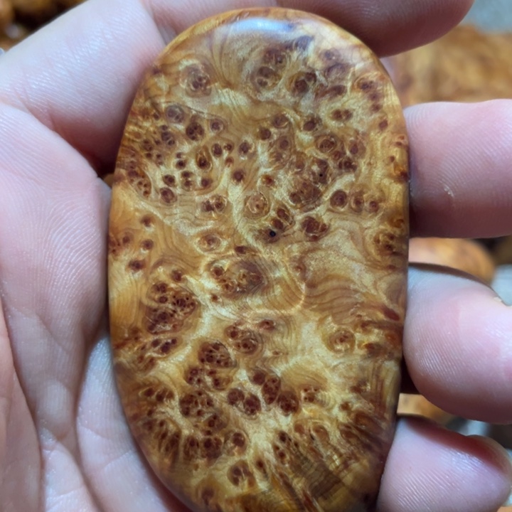 其他柏木（崖柏）把