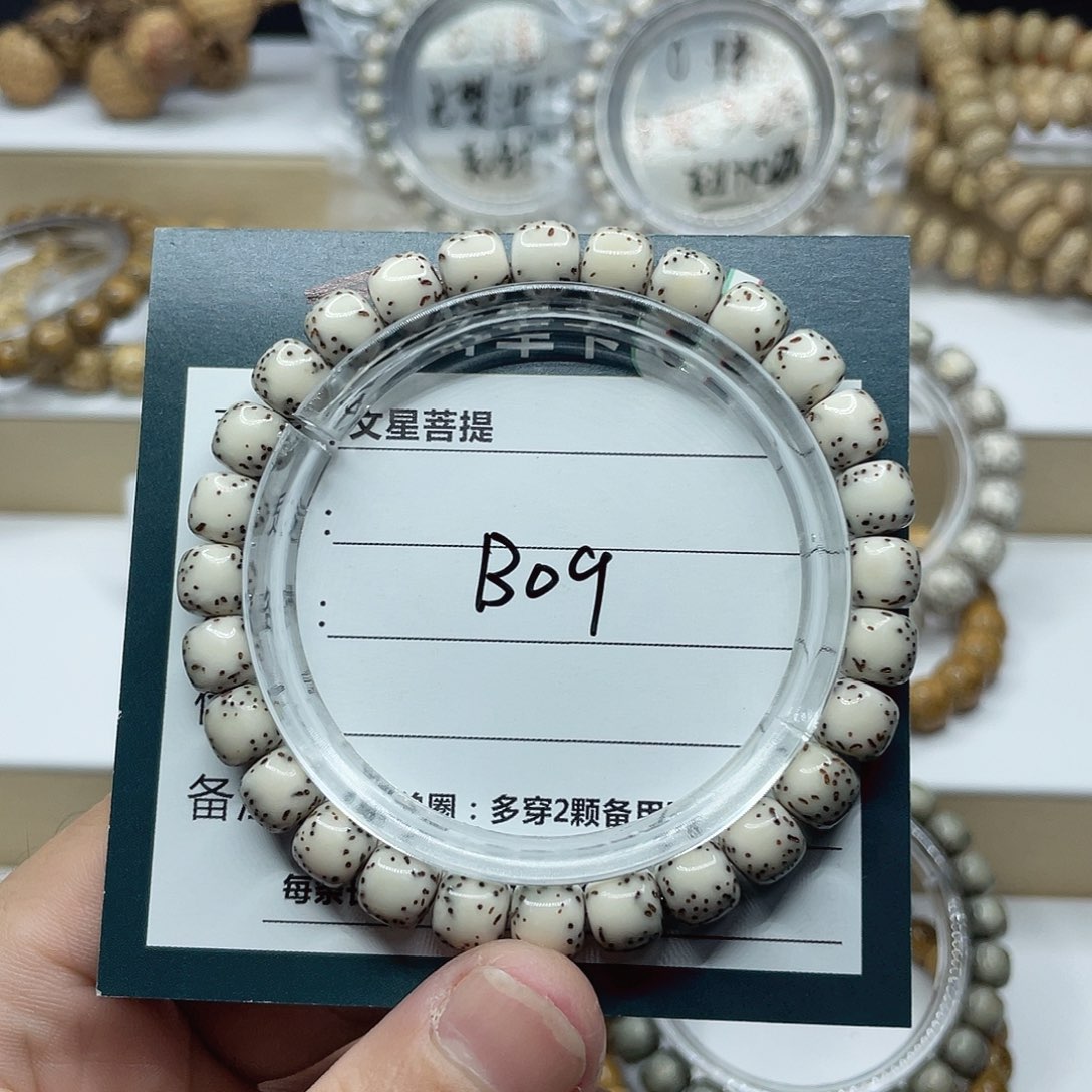 星月菩提手串8/7河豚半壁