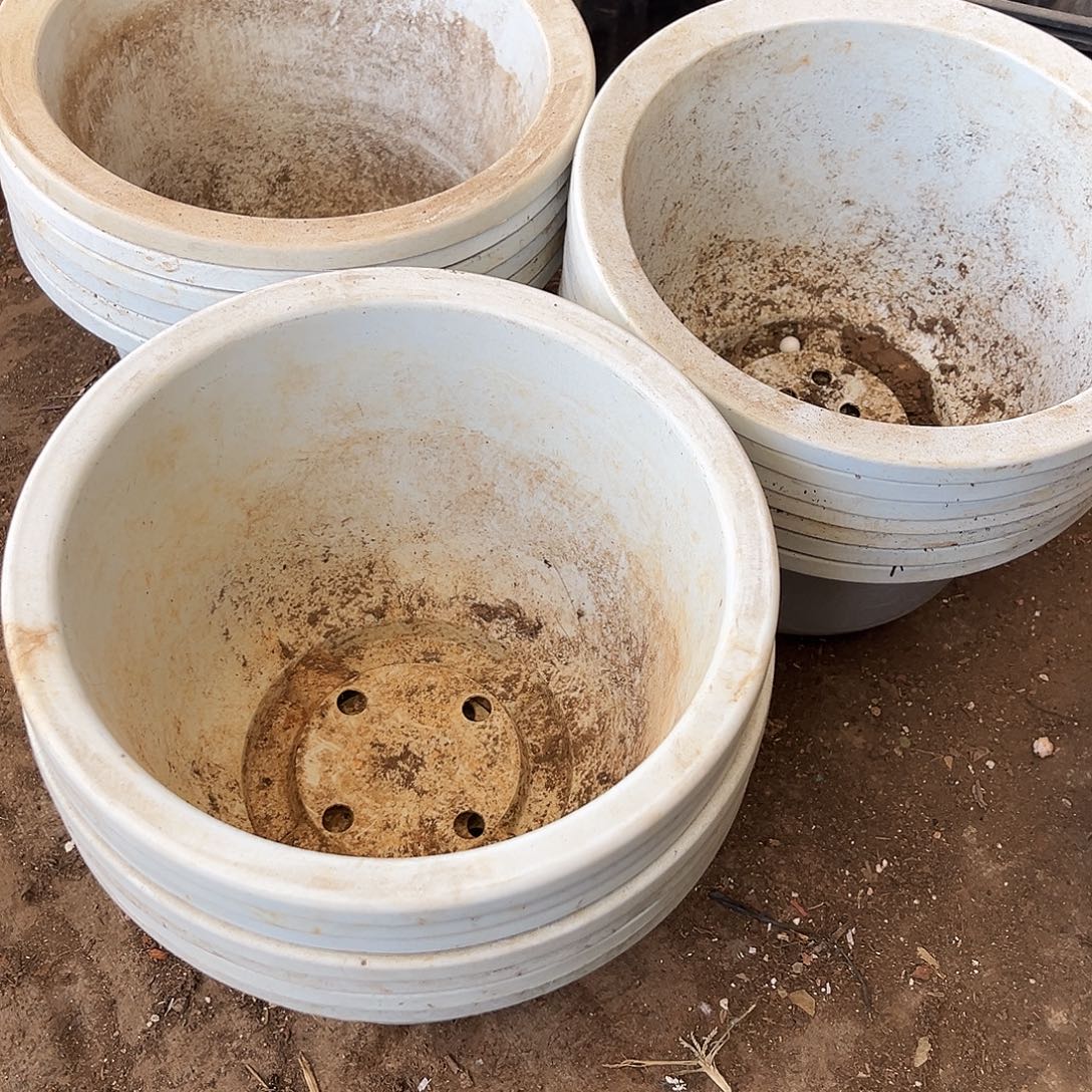 旧口径24高17白圆盆7个