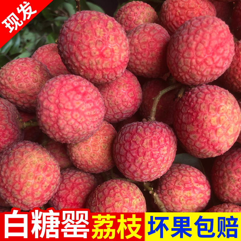 【白糖罂荔枝】清甜多汁 竹篮礼盒新鲜老树现摘现发6斤包邮应季水果
