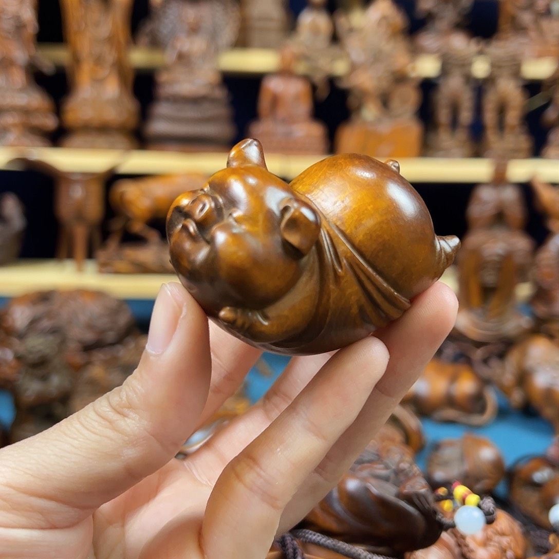 黄杨木小叶黄杨木