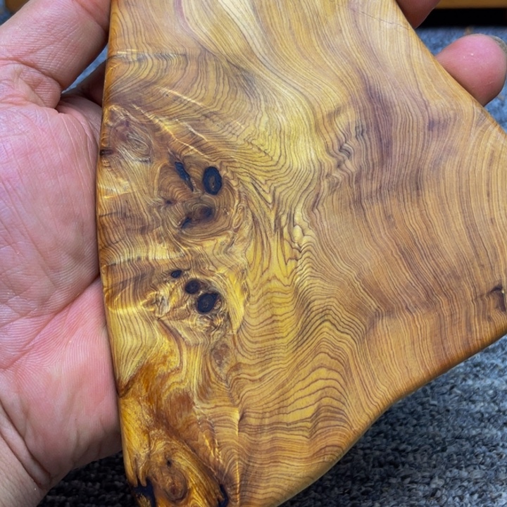 柏木（崖柏）崖柏100