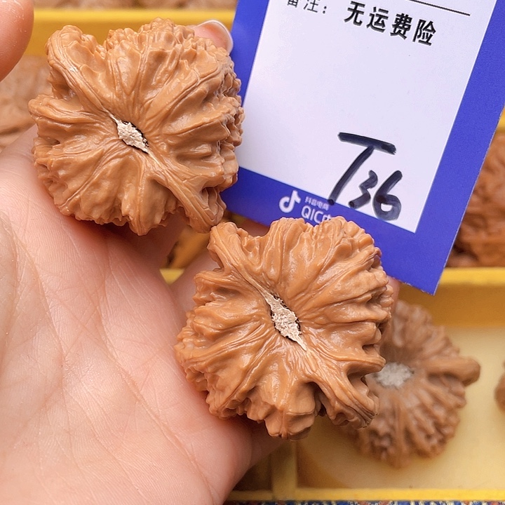 把件文玩核桃G*生文玩核桃白狮子36