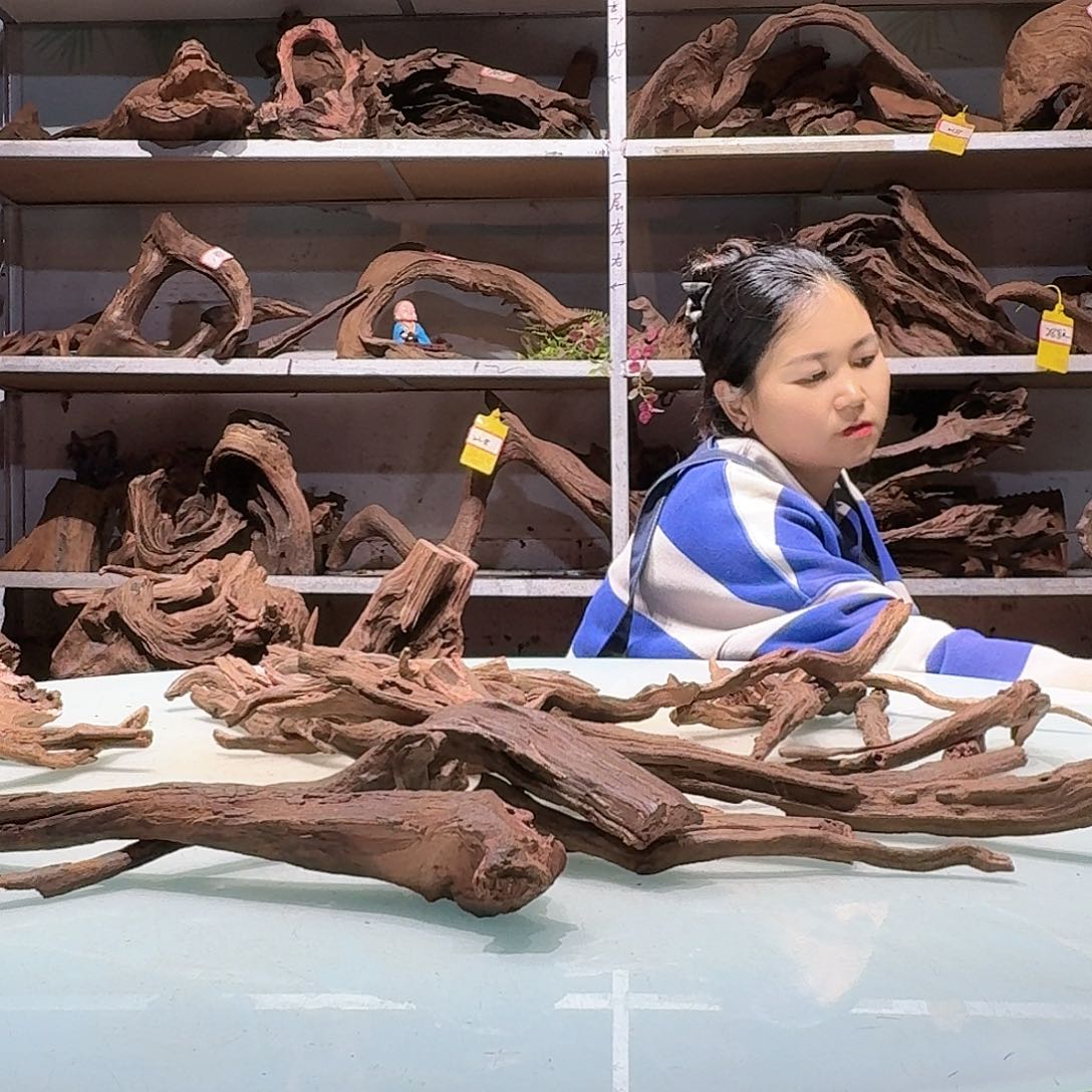 倍褚沉木不包损必褪色灬****↓6548紫柚枝条