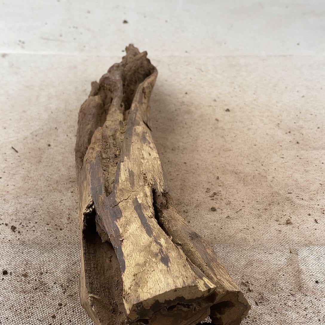 竹***。黄花梨/降香黄檀黄花梨随形料子