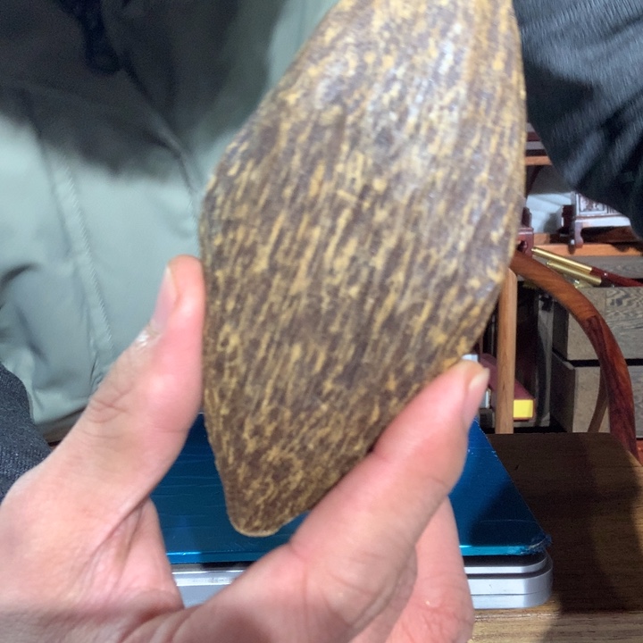 大果紫檀（缅甸花梨）桔*S278