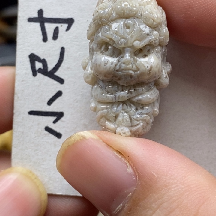 硅化珊瑚（珊瑚玉）未镶嵌颈饰