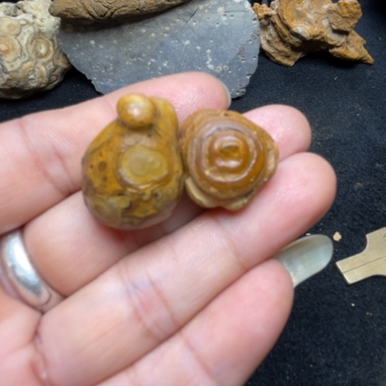 石材纯天然原石奇石74