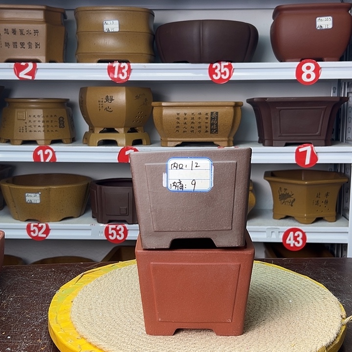 花盆紫砂你在一起