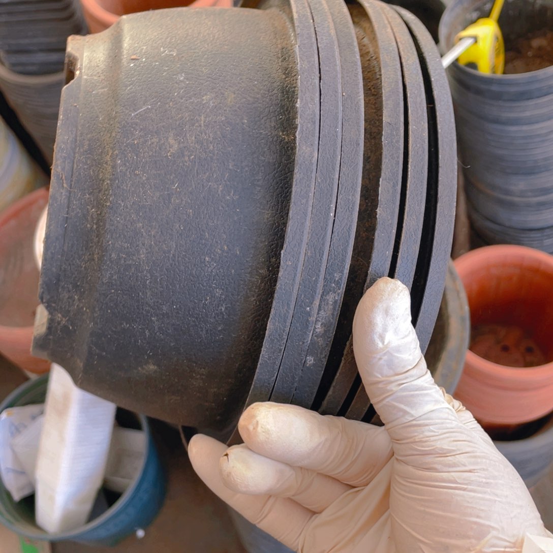 塑料旧20公分黑韩盆15个