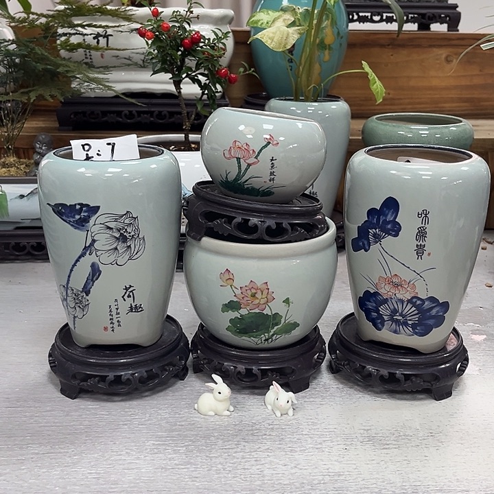 陶瓷花盆抢购福利活动