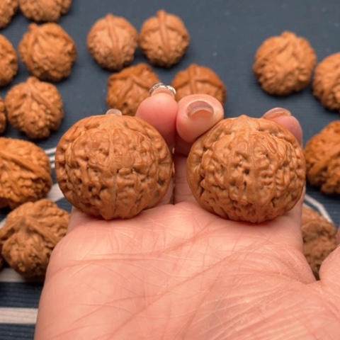 橄榄核手串/手链莲花全品37