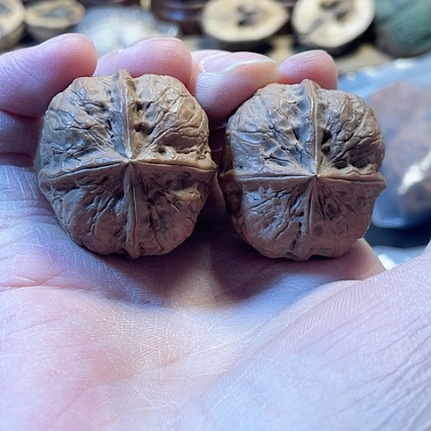 文玩核桃把件血麒麟带彩35