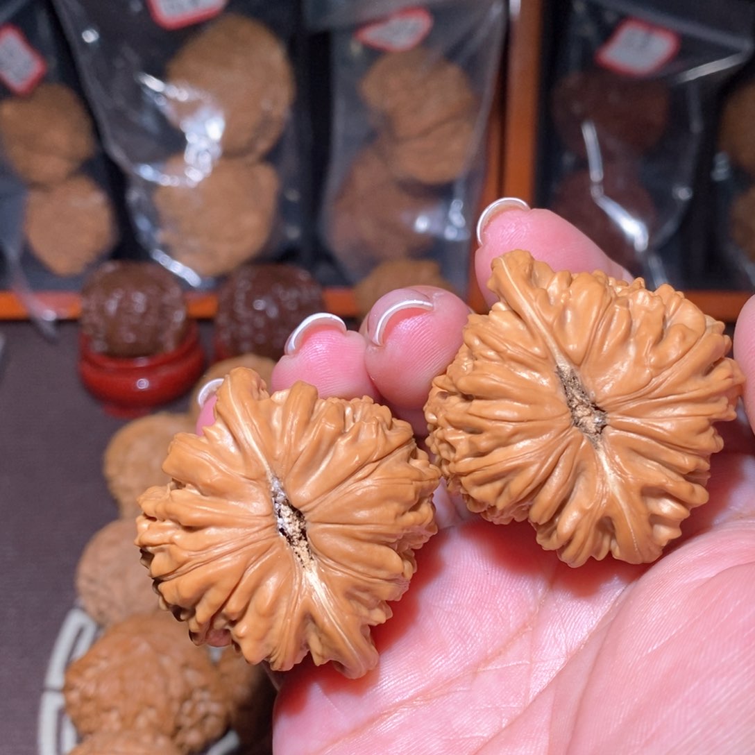 文玩核桃把件用****圣凹底菊花楼