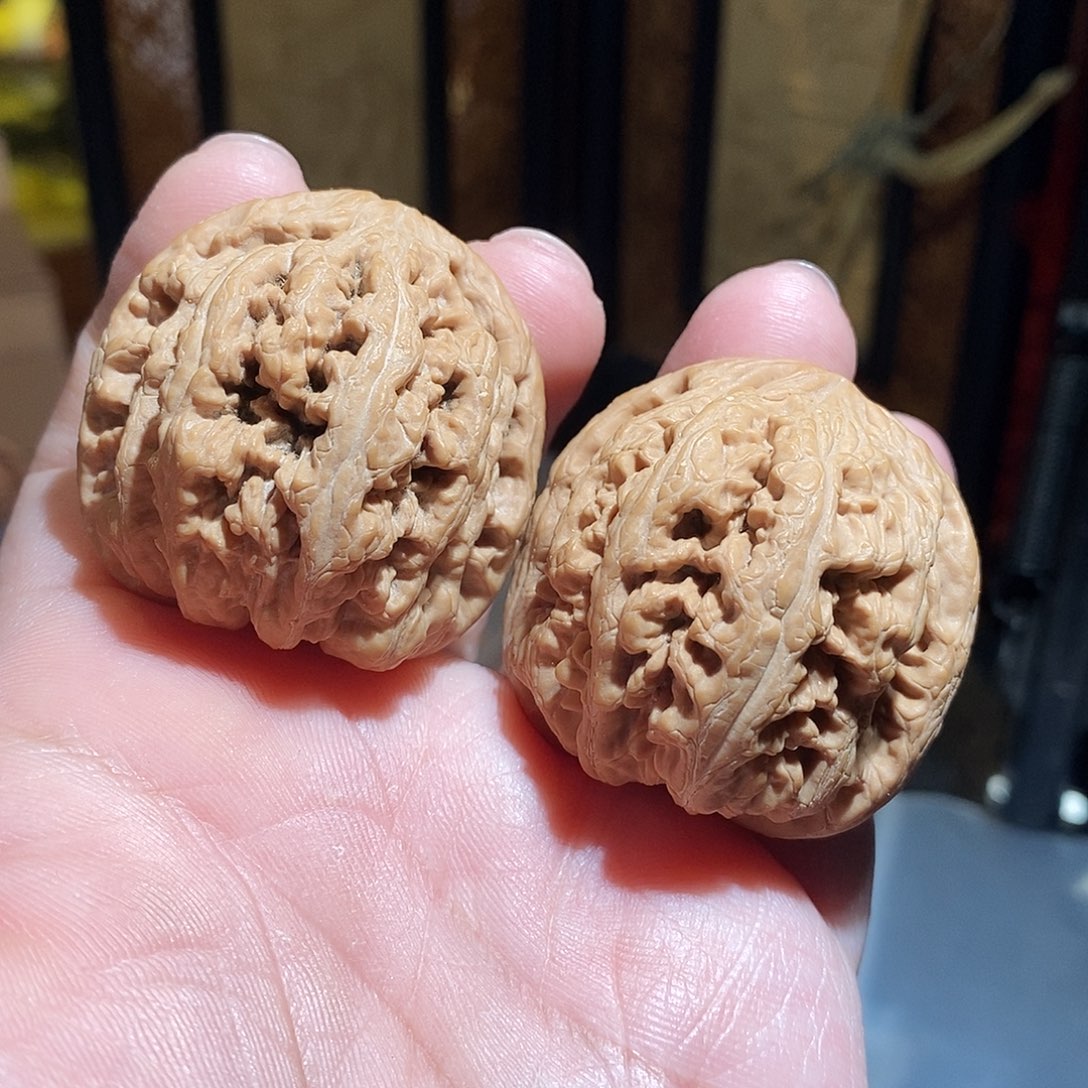 文玩核桃把件41大粗筋全品