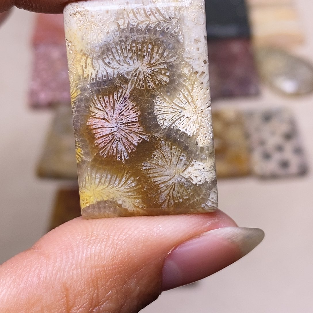 鱼***鱼硅化玉合金珊瑚玉