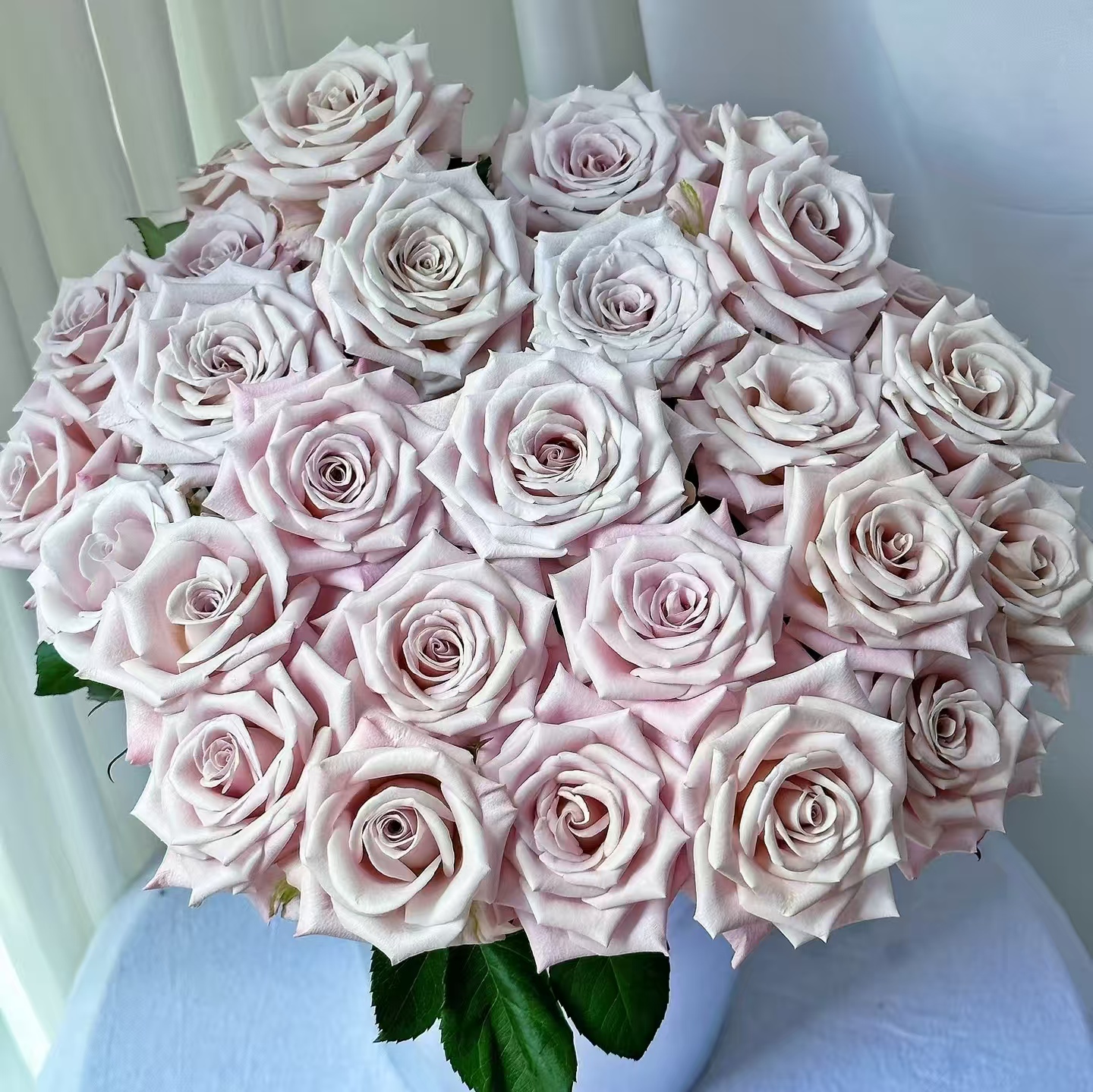 10枝曼塔单头玫瑰（小花苞开放度大）【两单顺丰冷链或京东快递】