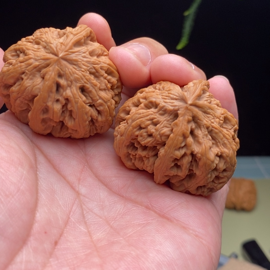 桃核吊坠44全品大粗筋一