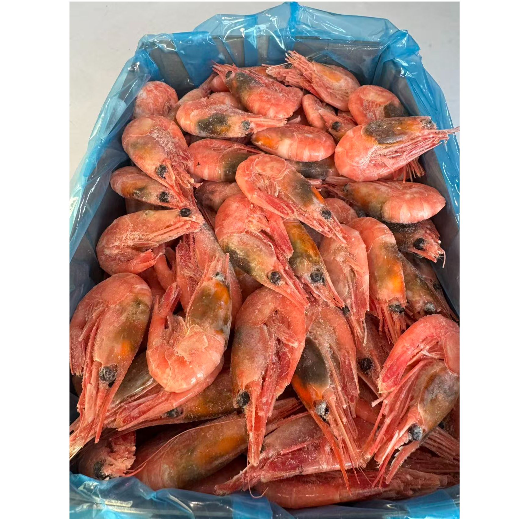  郑州发货 北极甜虾3斤/盒 （海藻虾 ）