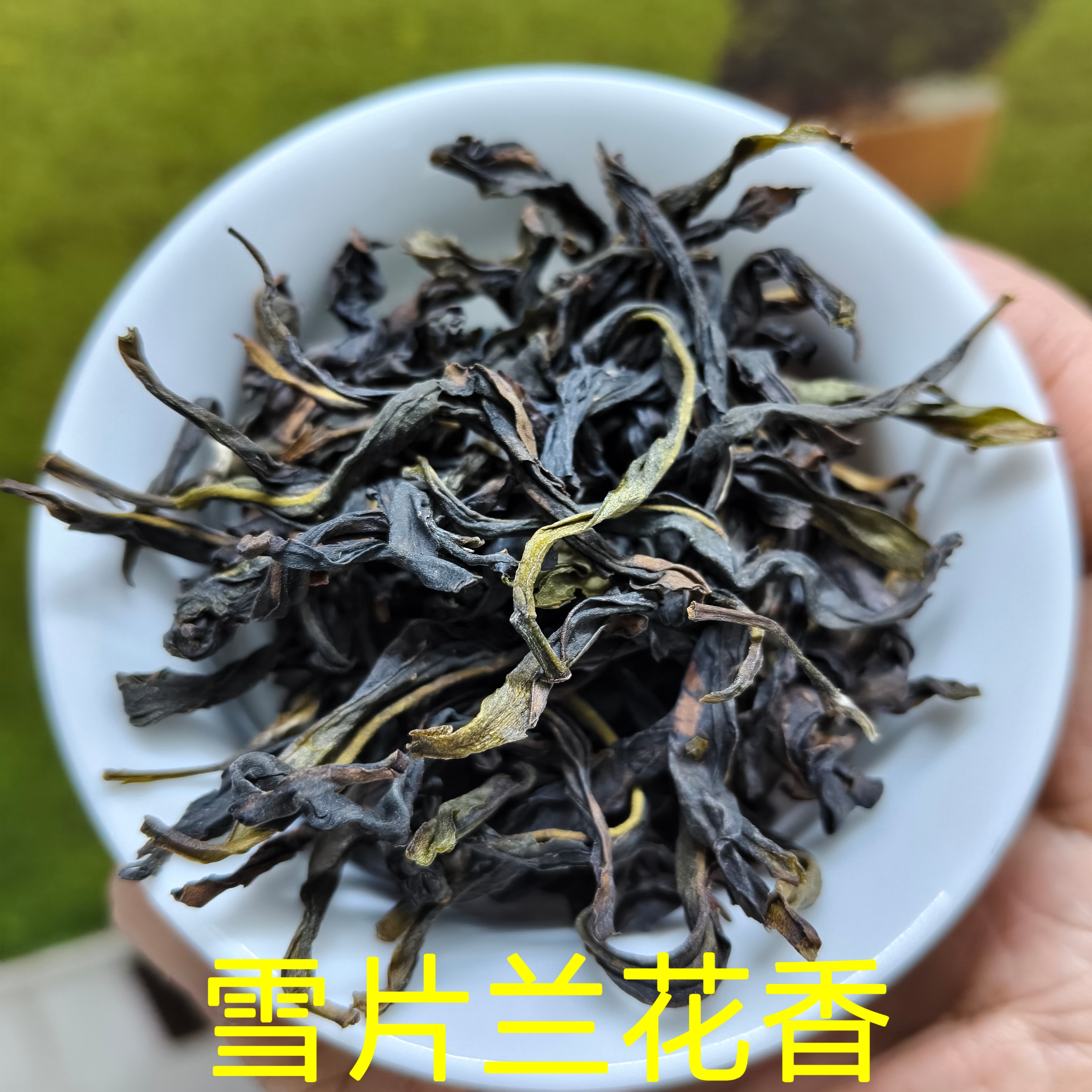 潮州凤凰单丛茶雪片兰花香高香型凤凰单枞茶清香型乌龙茶250g 
