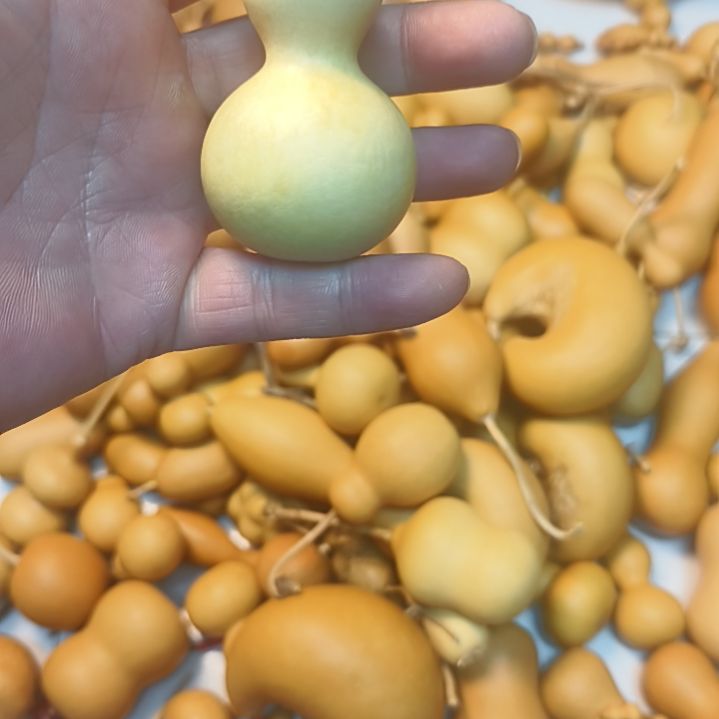 淄***海瓶子和尚头一把新