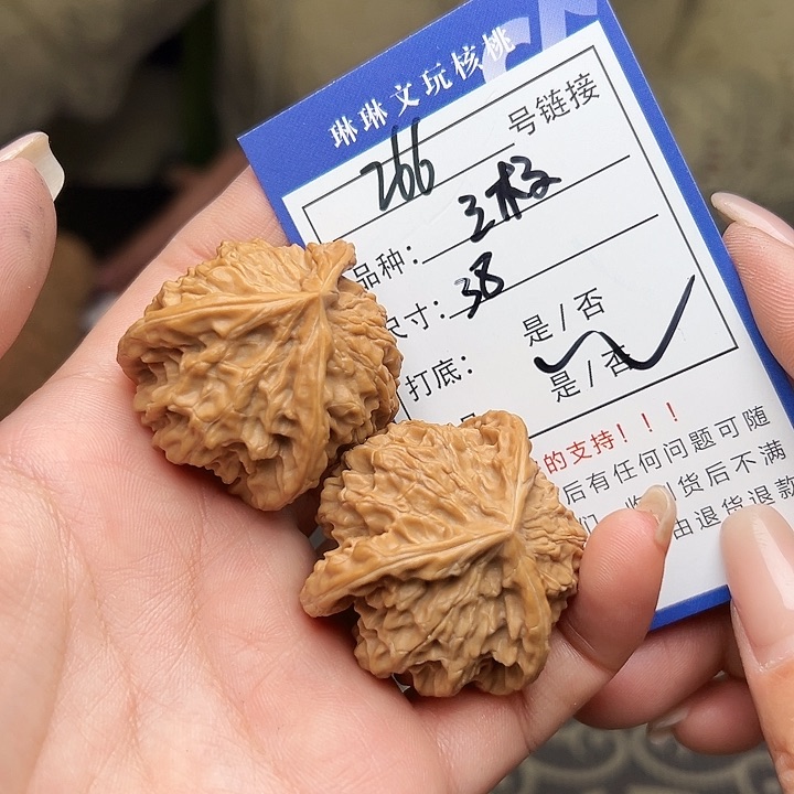 文玩核桃吊坠核桃树266