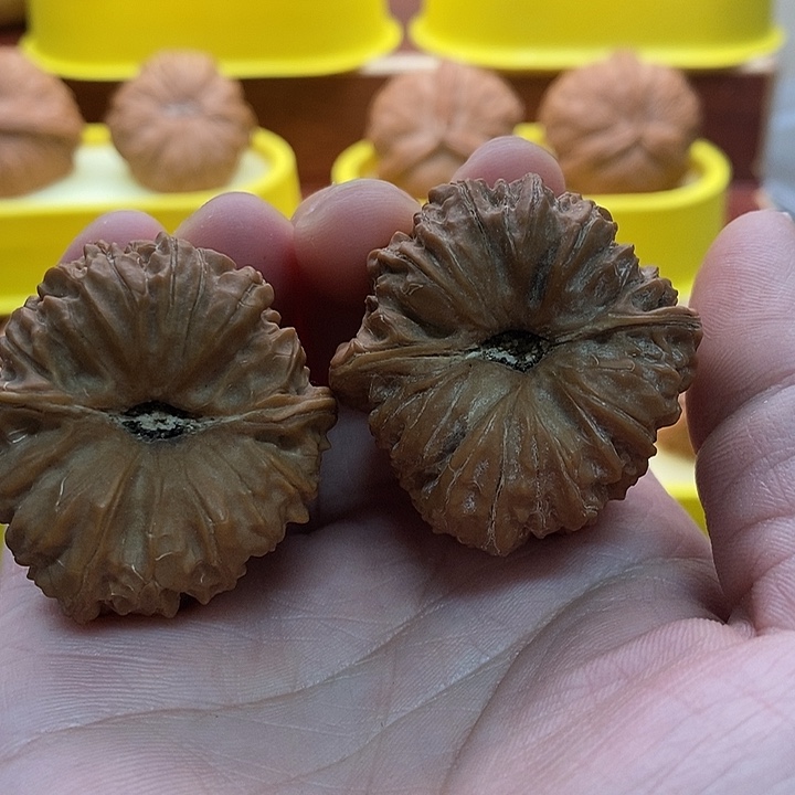 文玩核桃吊坠凹底