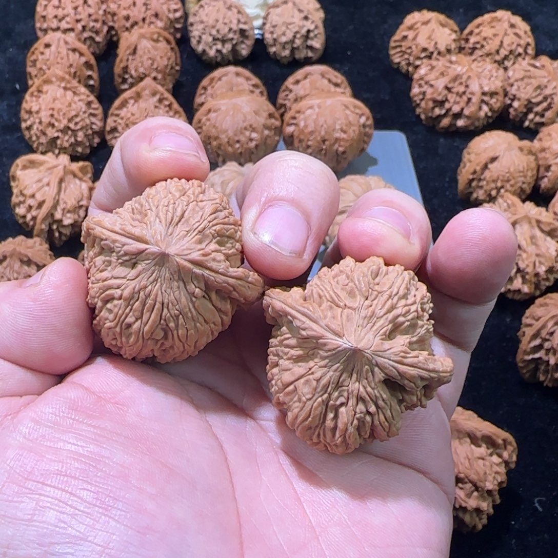 文玩核桃把件40泥鳅背