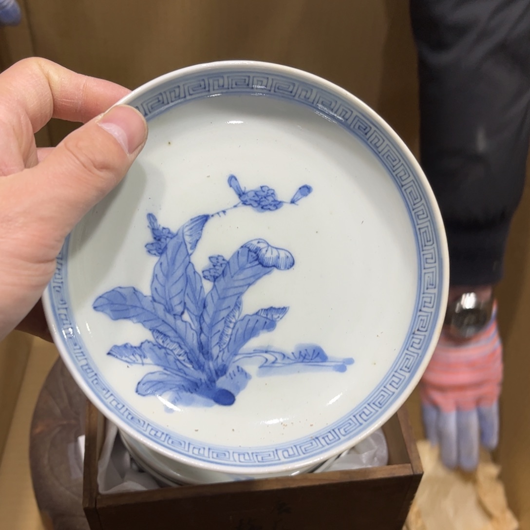 飞***茶火爆热卖热卖茶茶茶