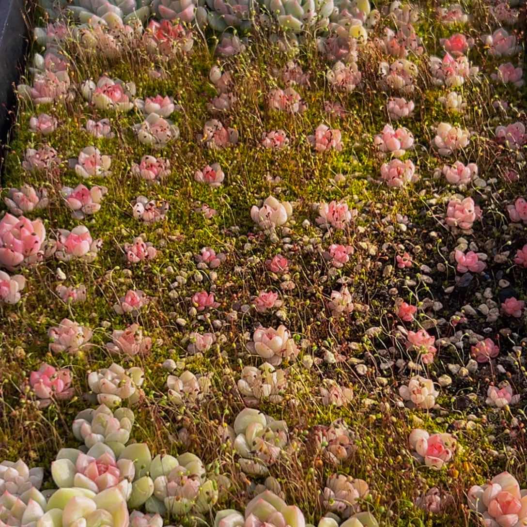 570大热天的时候我就想