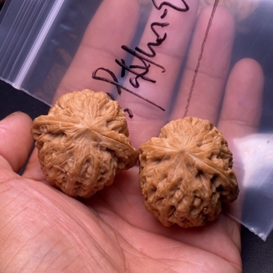 【闪购商品】把件文玩核桃铁锤