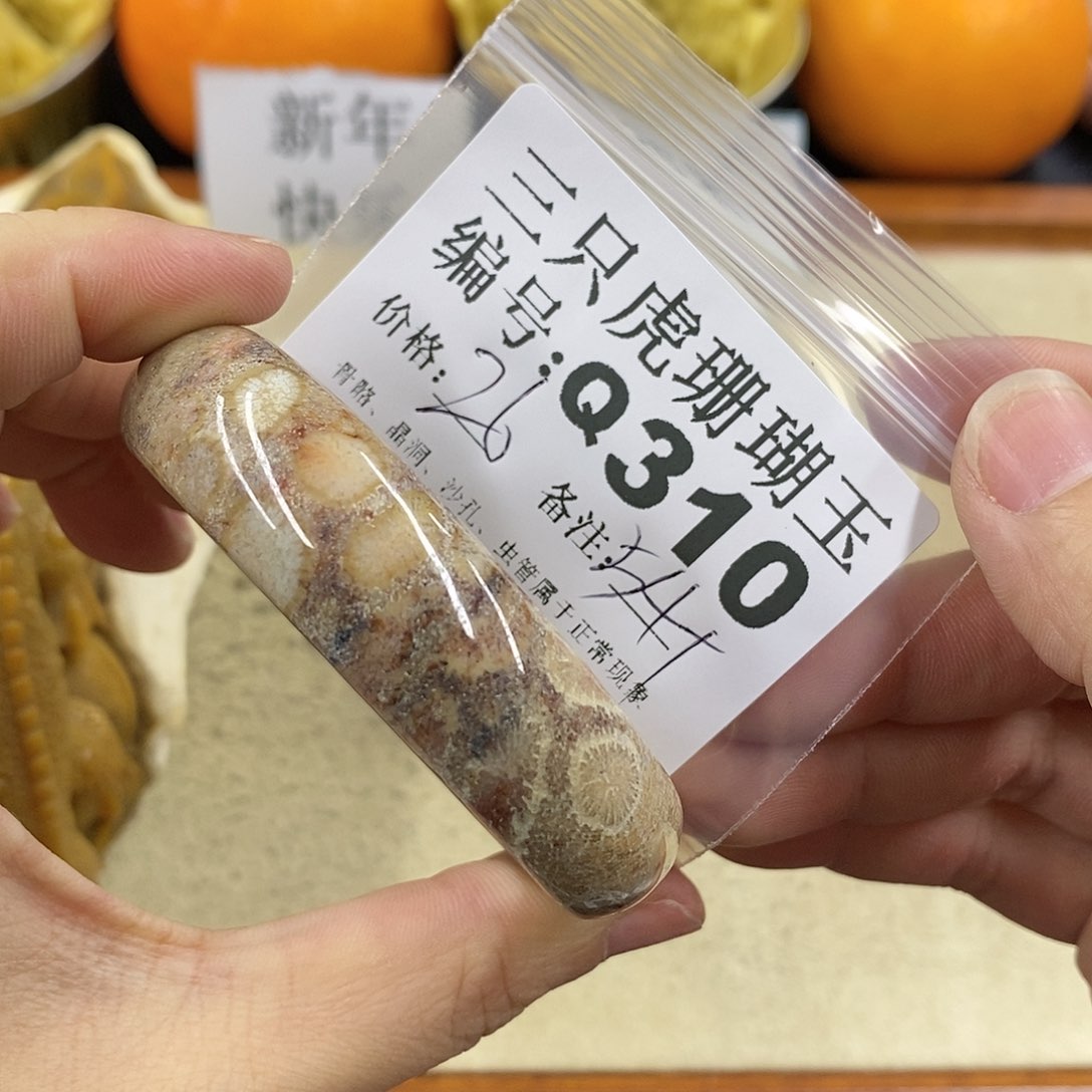 硅化珊瑚（珊瑚玉）1未镶嵌豆*