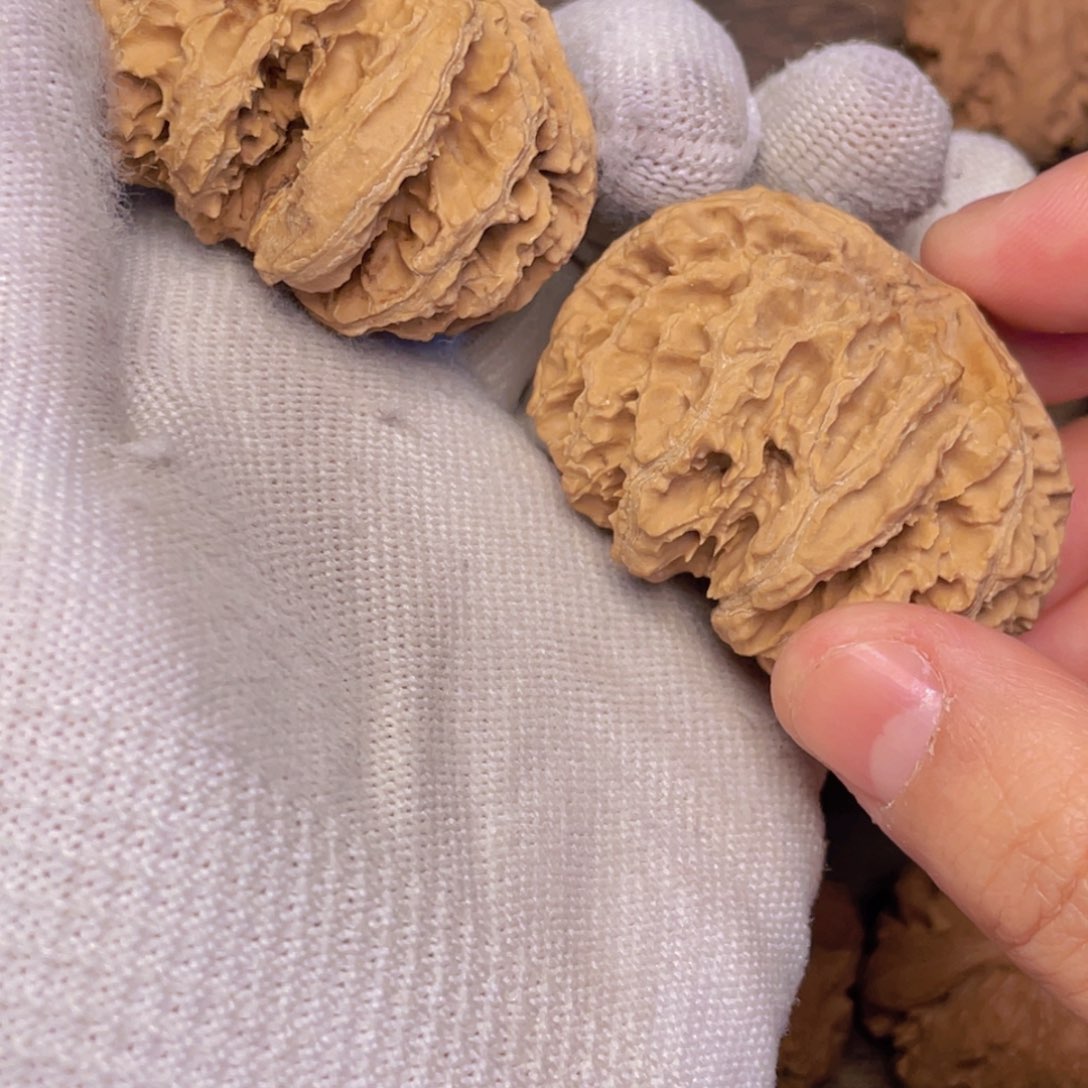 文玩核桃吊坠孙****者5 秦岭灯笼野生小众