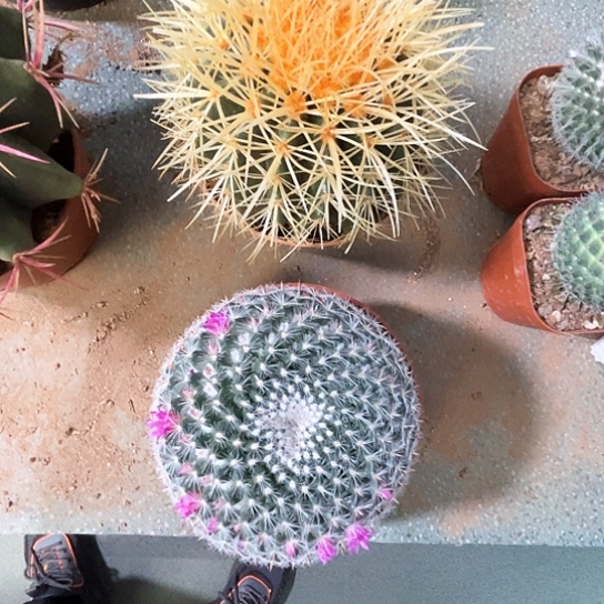 灵*2个谢谢谢谢谢谢谢谢