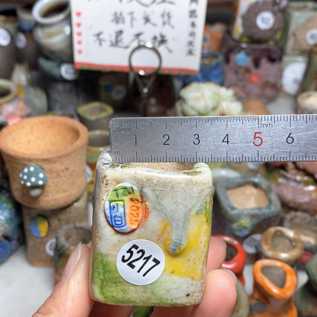 花盆拍3送一个小礼物