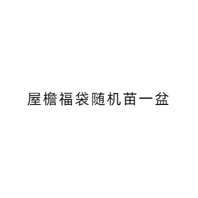 屋檐精品盆栽花苗一棵
