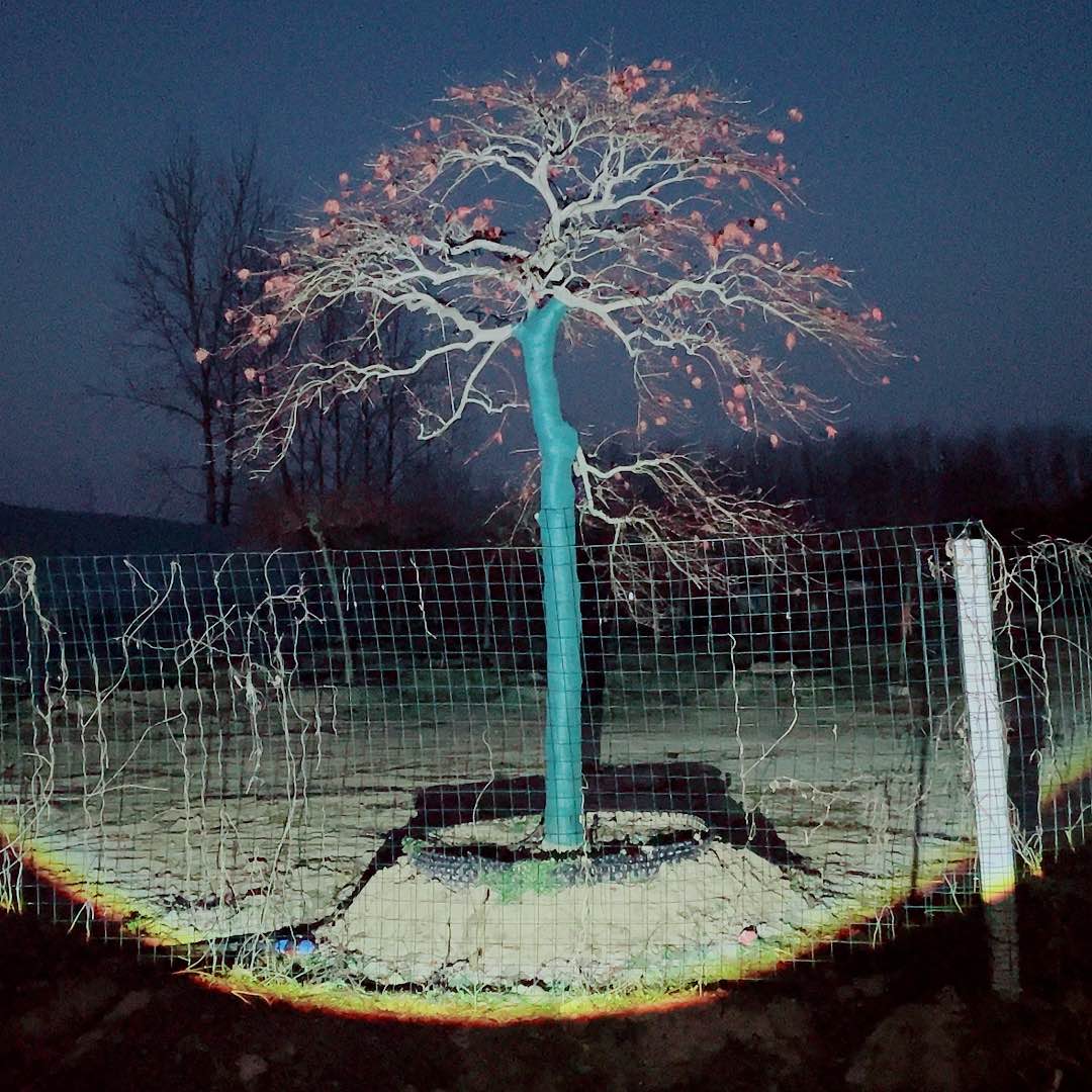 【闪购商品】完全开放