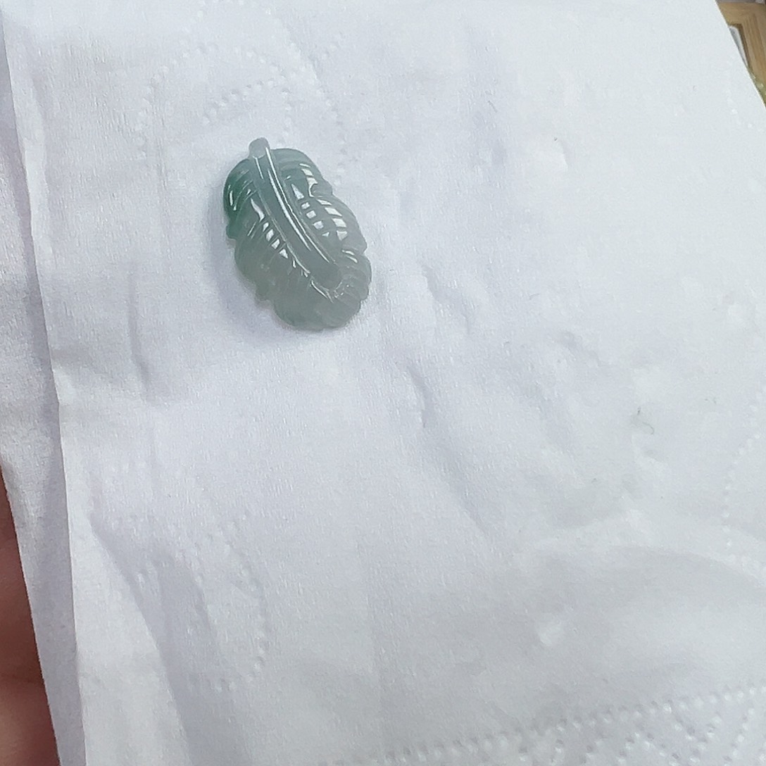翡翠散珠?*嘉翡翠羽毛一个37号