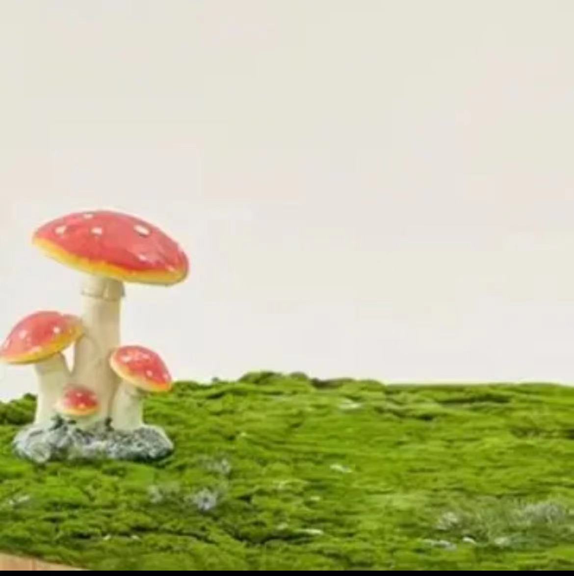 孤品睡衣链接，下单备注编码